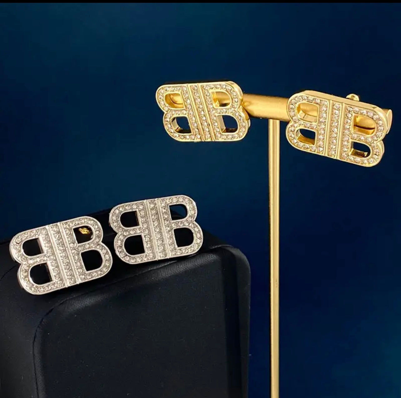 Bold & Beautiful Earrings